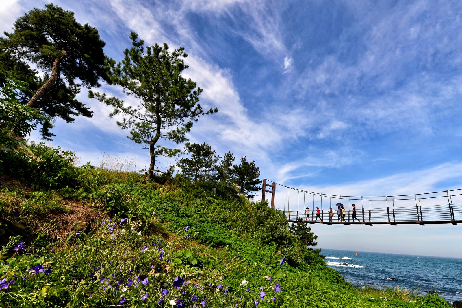 주상절리 출렁다리_김하영(동상)